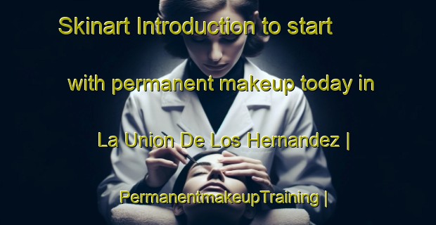 Skinart Introduction to start with permanent makeup today in La Union De Los Hernandez | PermanentmakeupTraining | PermanentmakeupClasses | SkinartTraining-Mexico